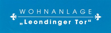 leondingertopjpg